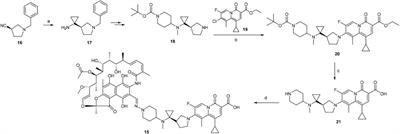 Macrocycle-Antibiotic Hybrids: A Path to Clinical Candidates